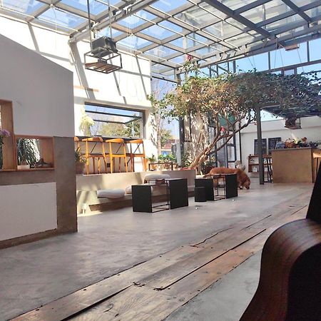 Dali Loft Travelling With Hostel Bagian luar foto
