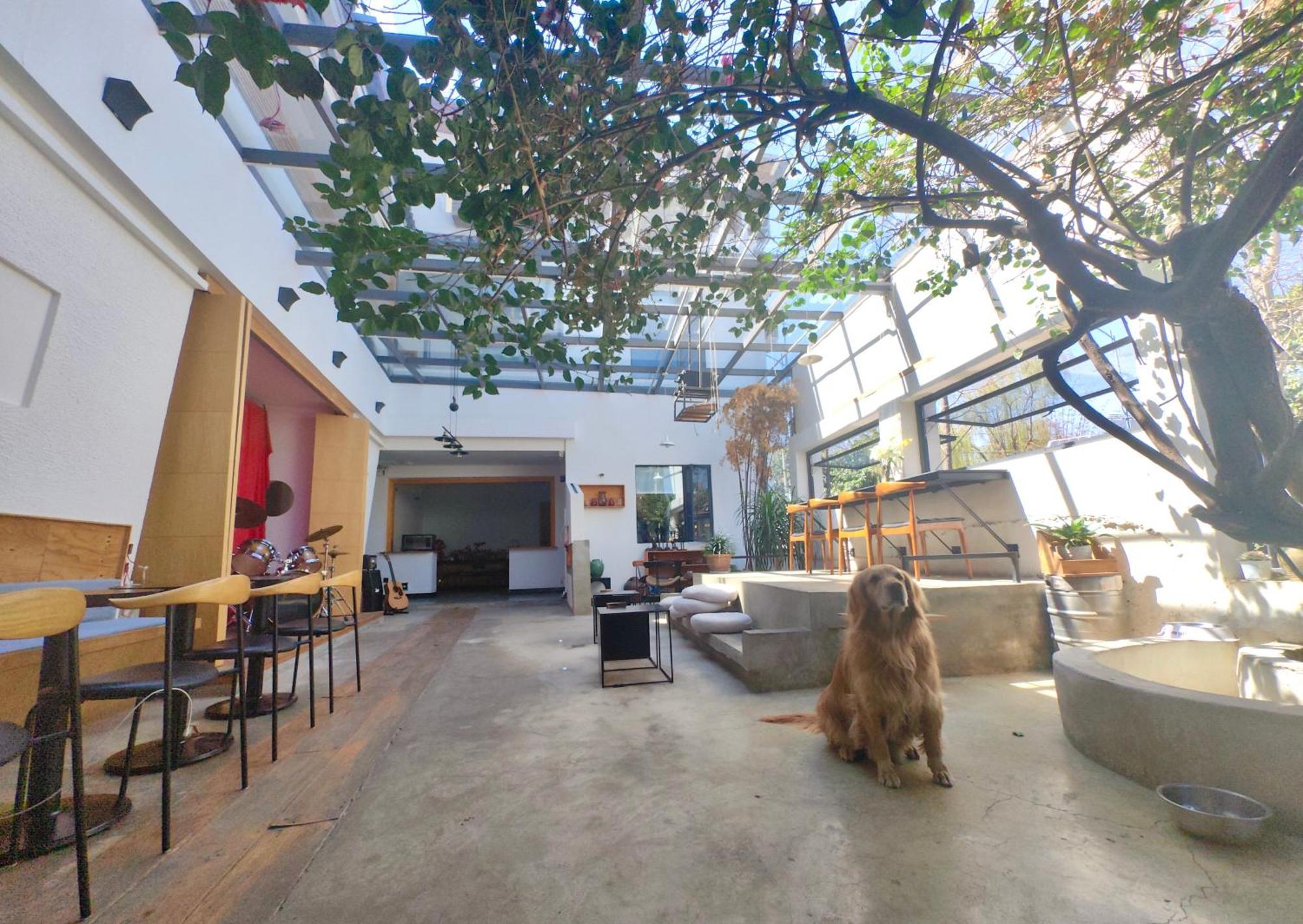 Dali Loft Travelling With Hostel Bagian luar foto